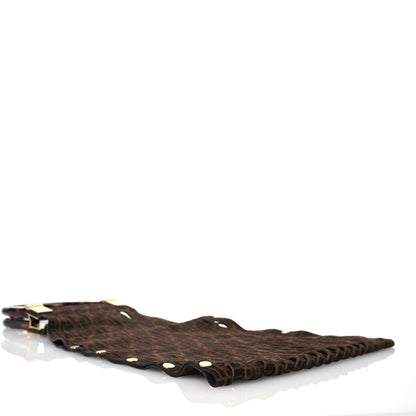 Fendi Suede Plexiglass FF Mesh Fendi Sunny Tote Bag Sigaro Moro 4 of 11