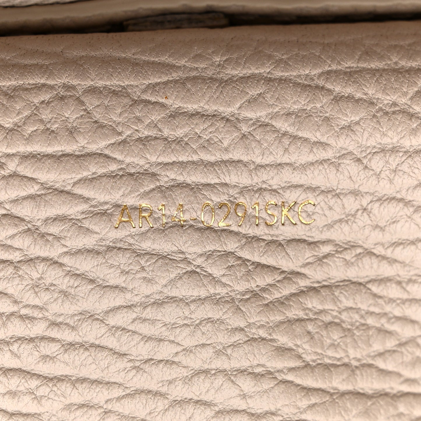 Textured Calfskin Pashli Backpack Feather