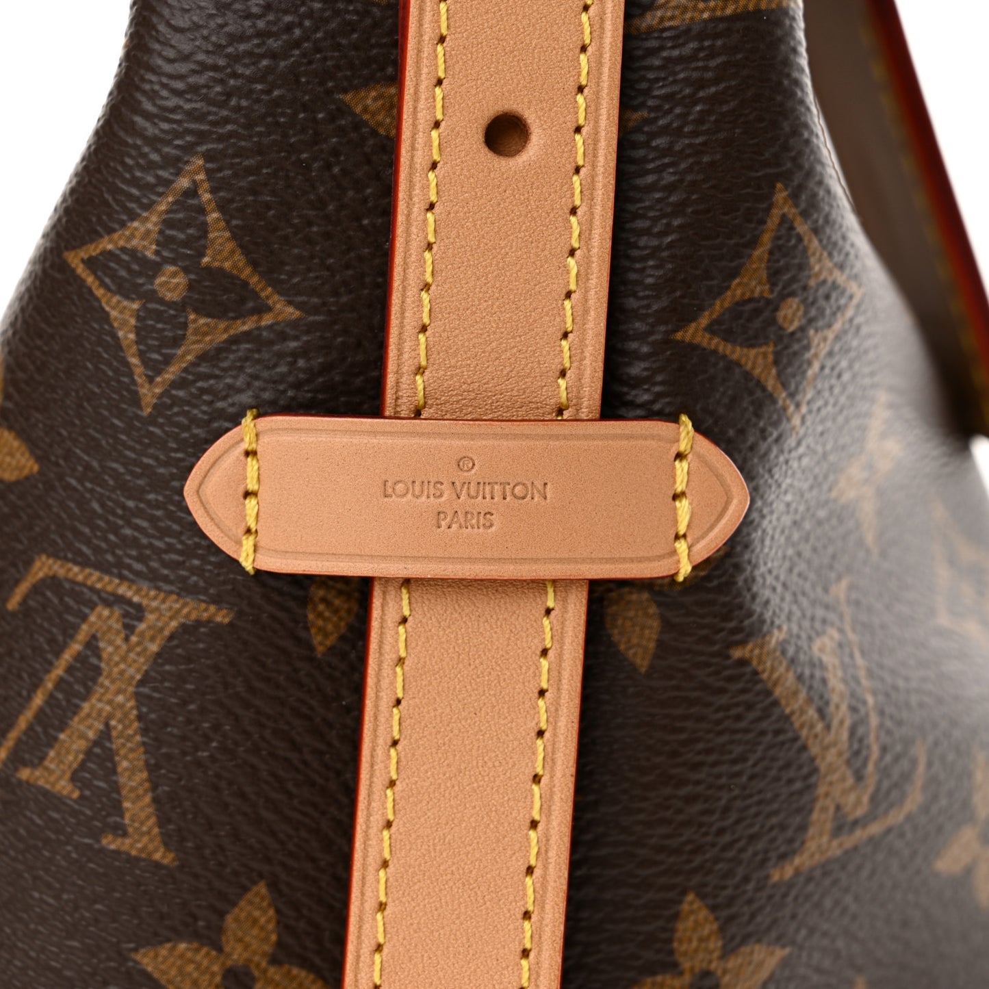 Monogram CarryAll PM