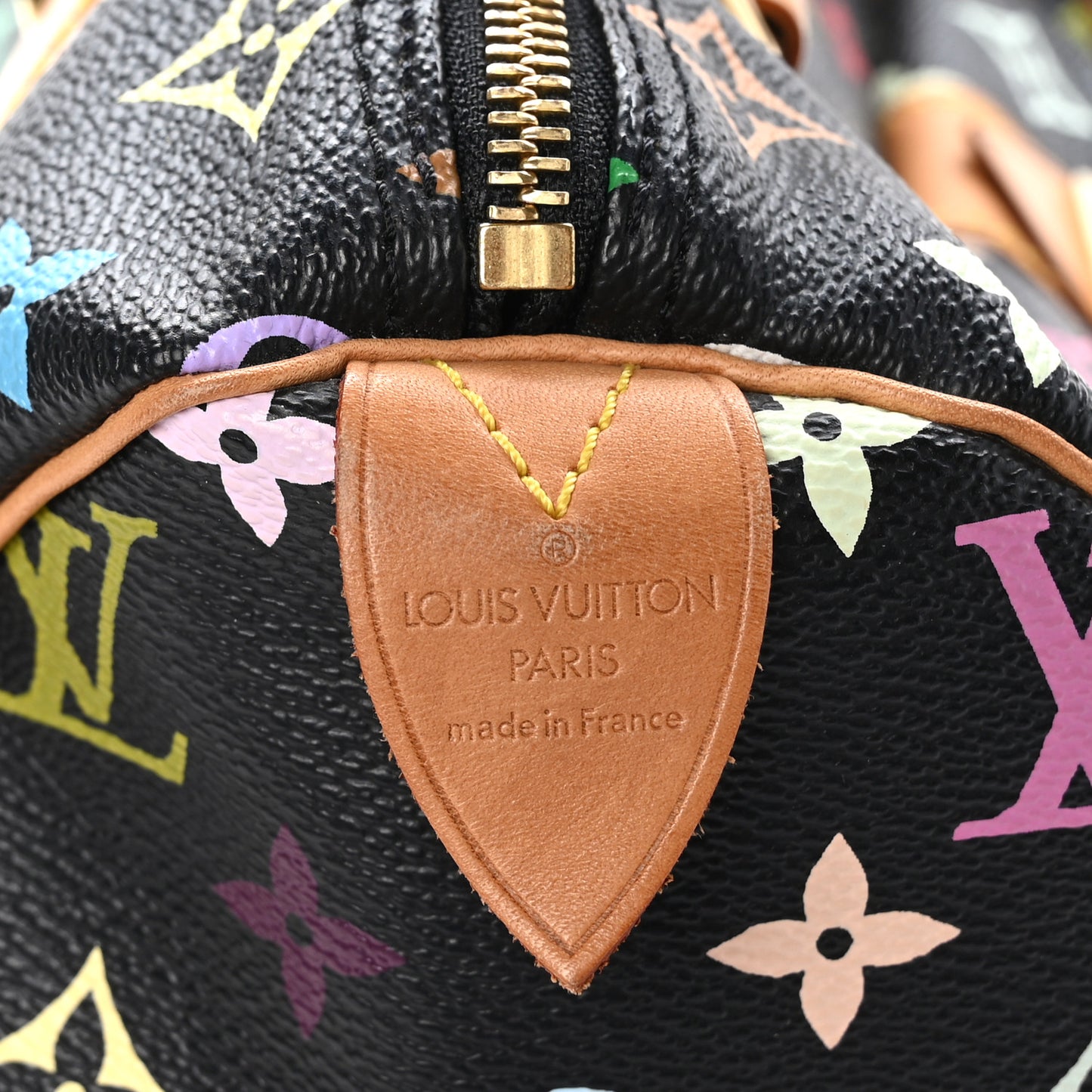 Monogram Multicolor Speedy 30 Black
