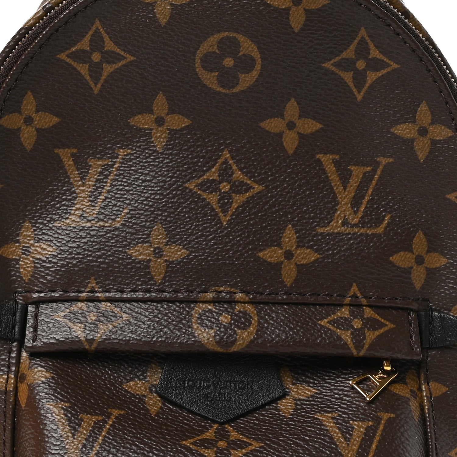 Louis Vuitton Monogram Palm Springs Backpack Mini 7 of 10