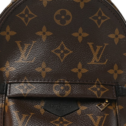 Louis Vuitton Monogram Palm Springs Backpack Mini 7 of 10