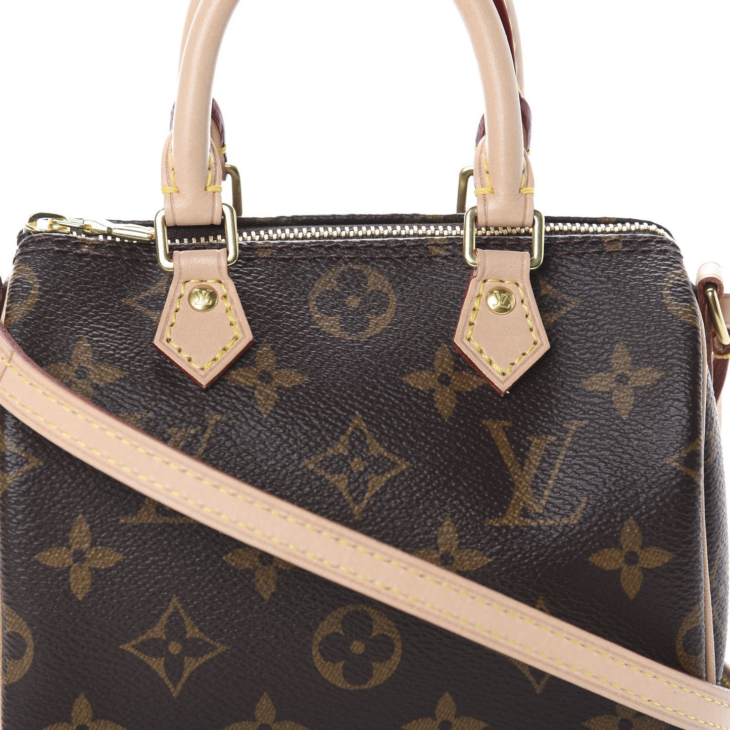 Monogram Nano Speedy