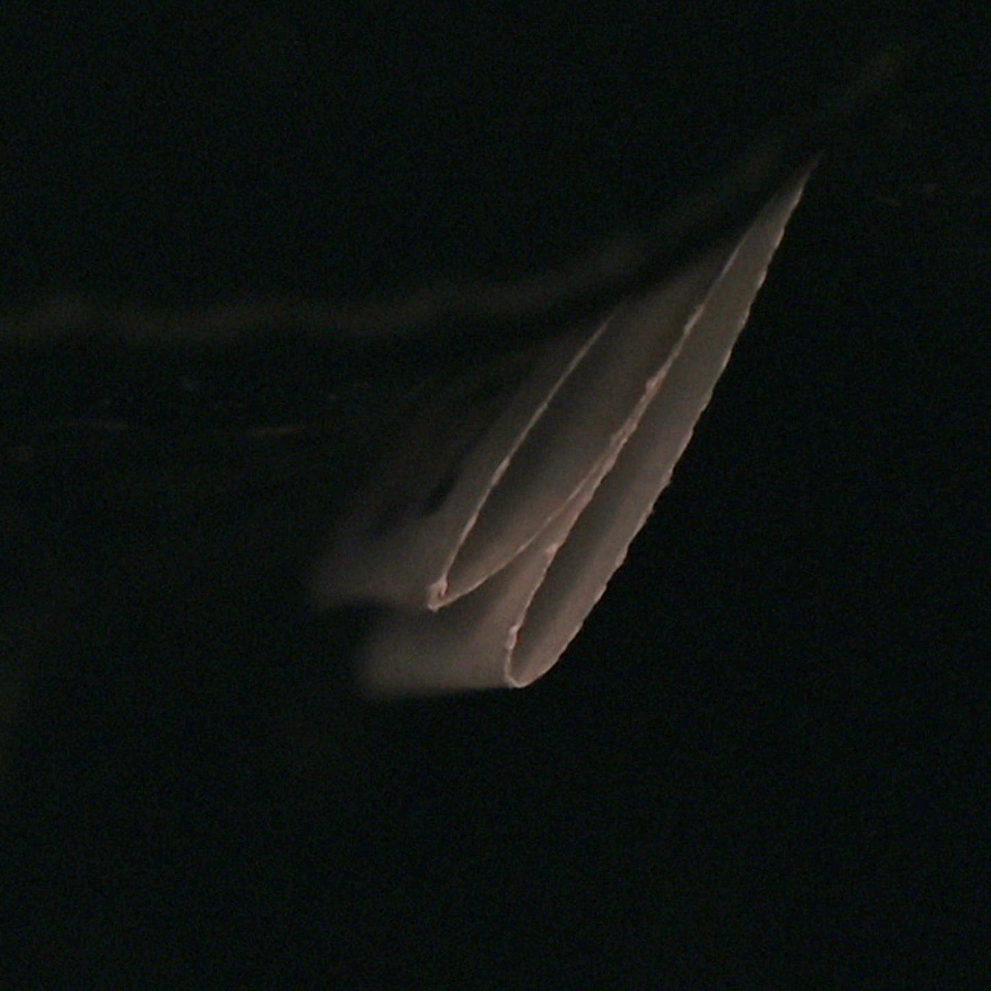 Saffiano Cuir Calfskin Small Kristen Black