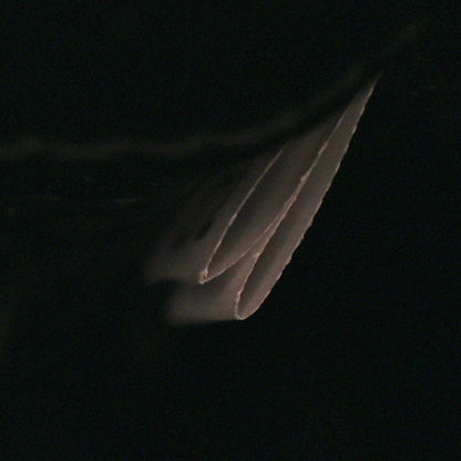 Prada Saffiano Cuir Calfskin Small Kristen Black 7 of 10