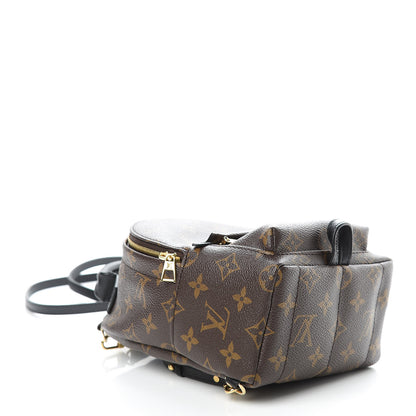 Louis Vuitton Monogram Palm Springs Backpack Mini 4 of 10
