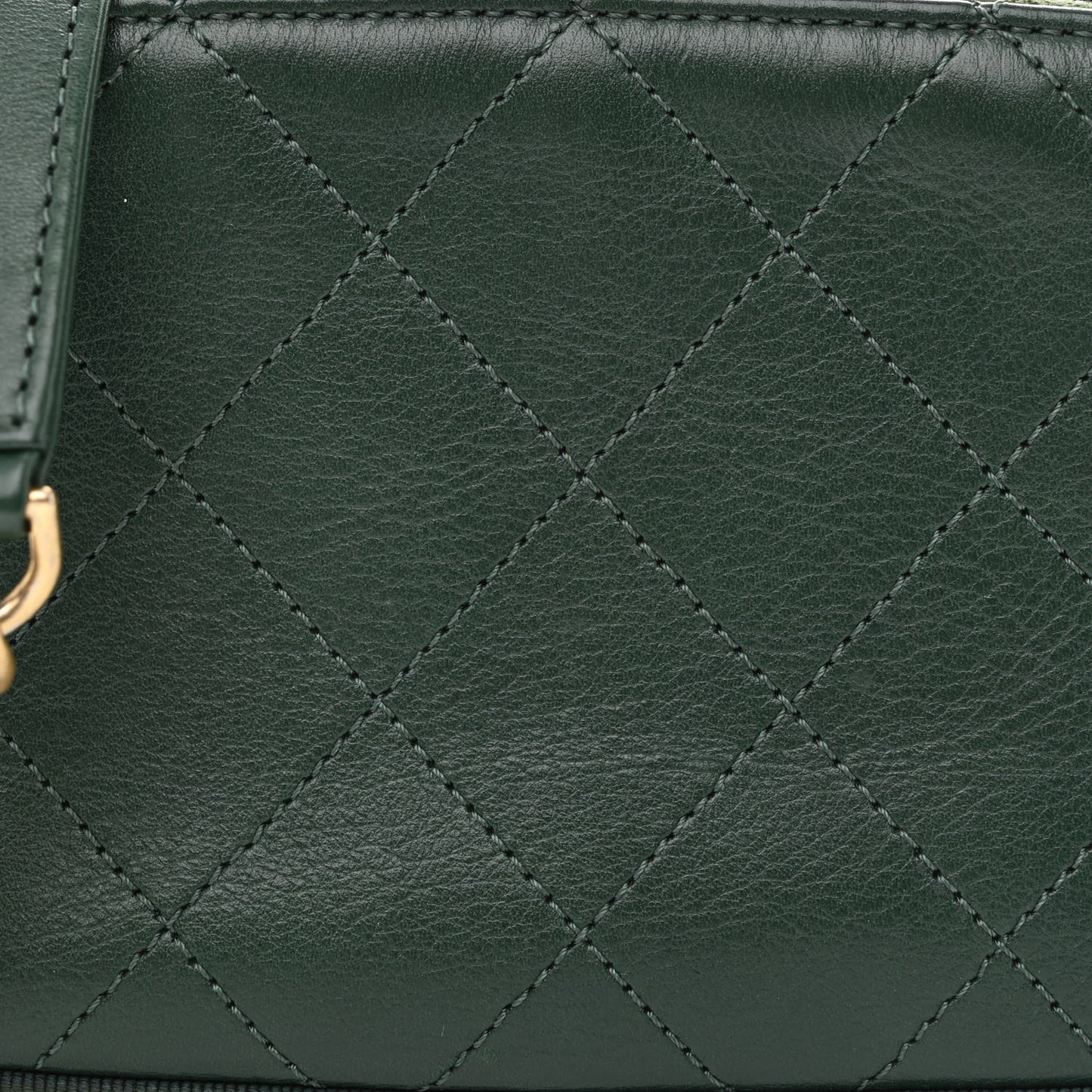 Calfskin Grosgrain Stitched Button Up Camera Case Green