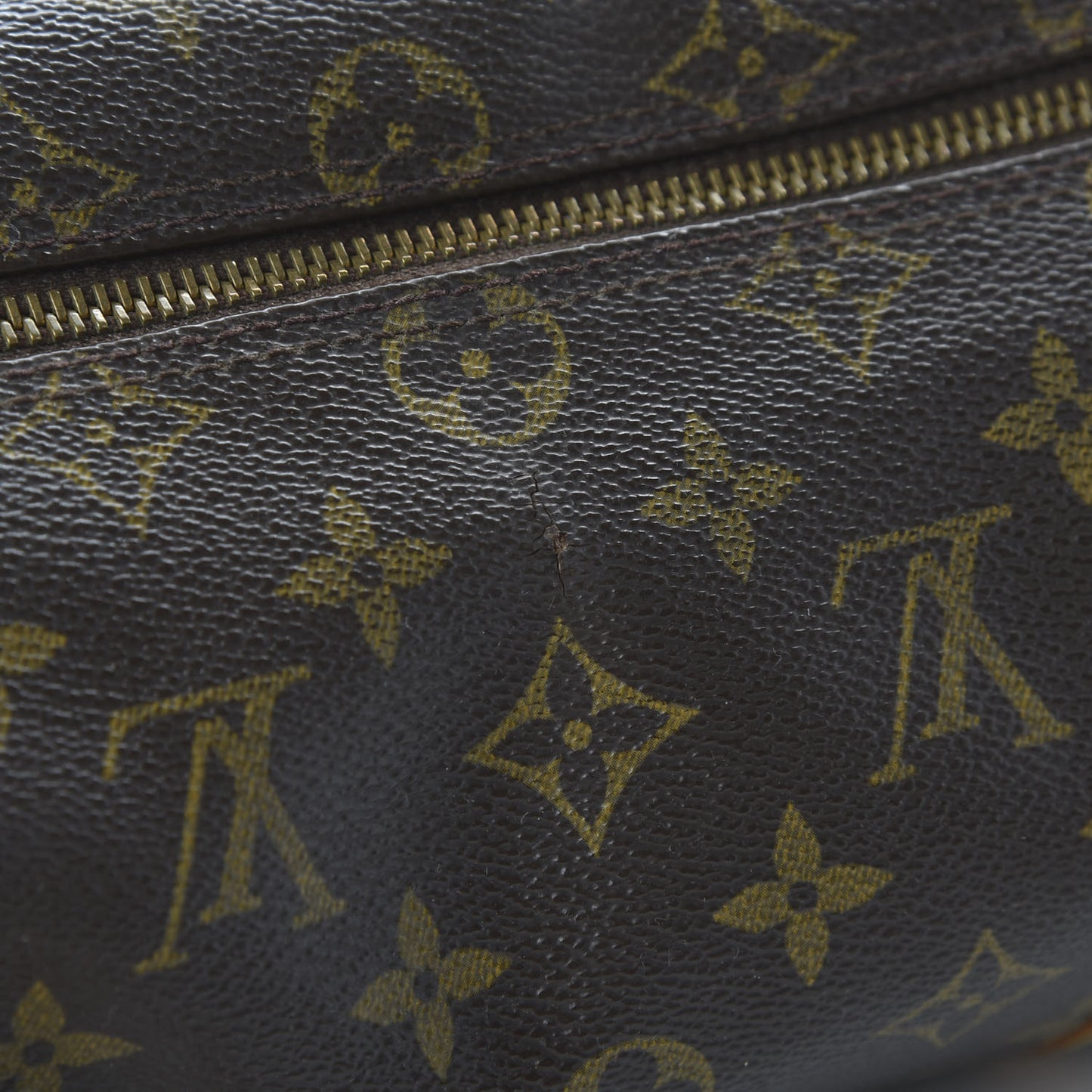 Monogram Papillon 26