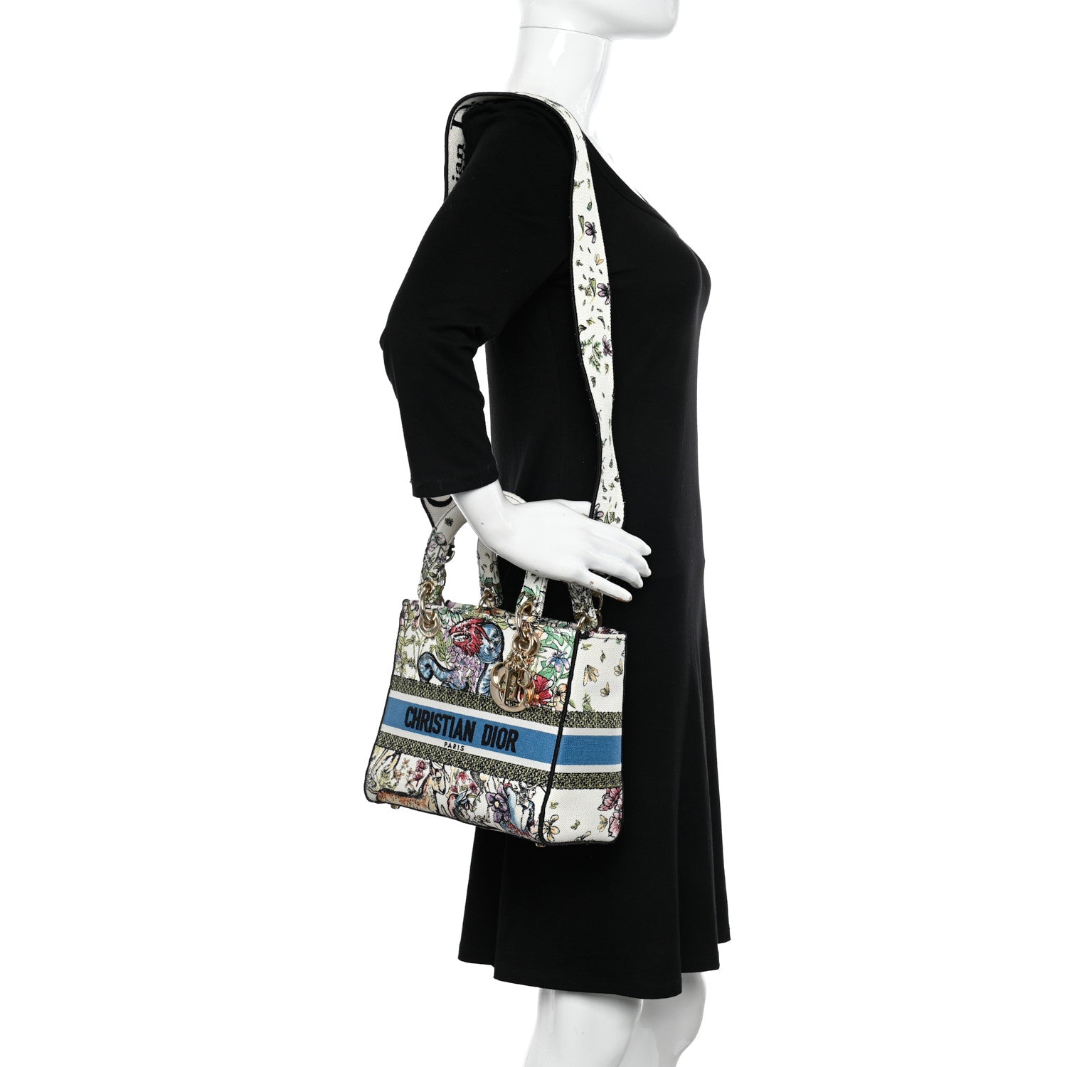 Christian Dior Canvas D-Constellation Embroidered Medium Lady D-Lite Latte Multicolor 2 of 8