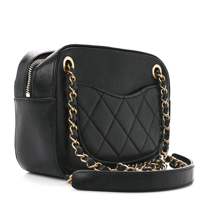 Chanel Goatskin Quilted Chanel 19 Camera Case Black 3 of 10