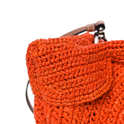 Loewe Raffia Mini Bunny Crossbody Bag Orange 8 of 11