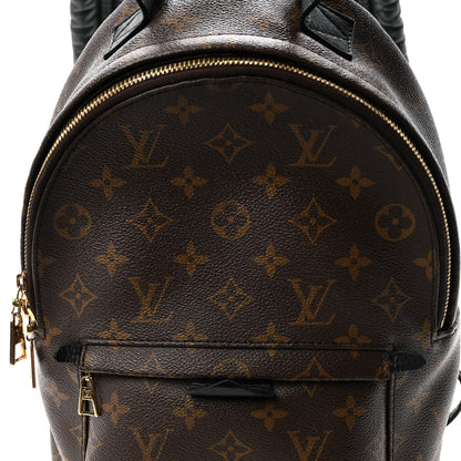 Louis Vuitton Monogram Palm Springs Backpack PM 7 of 10
