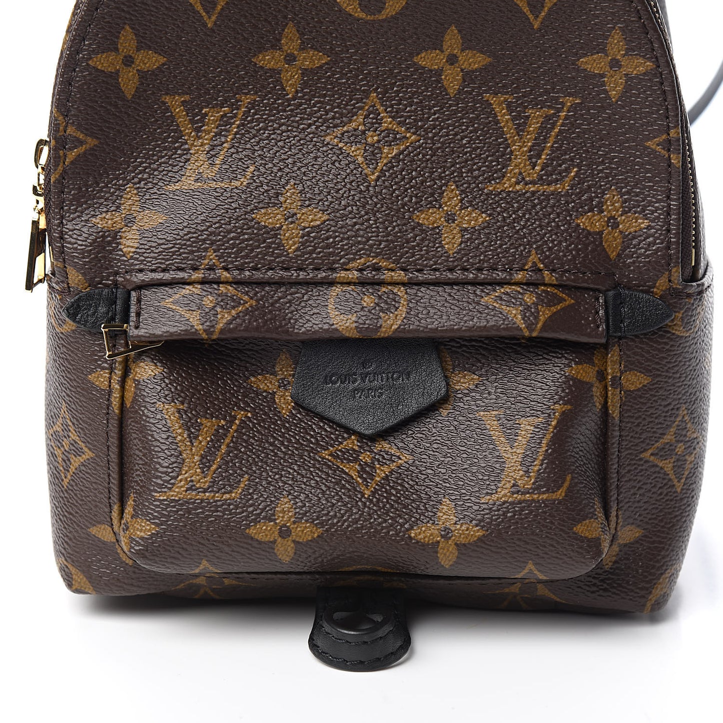 Monogram Palm Springs Backpack Mini