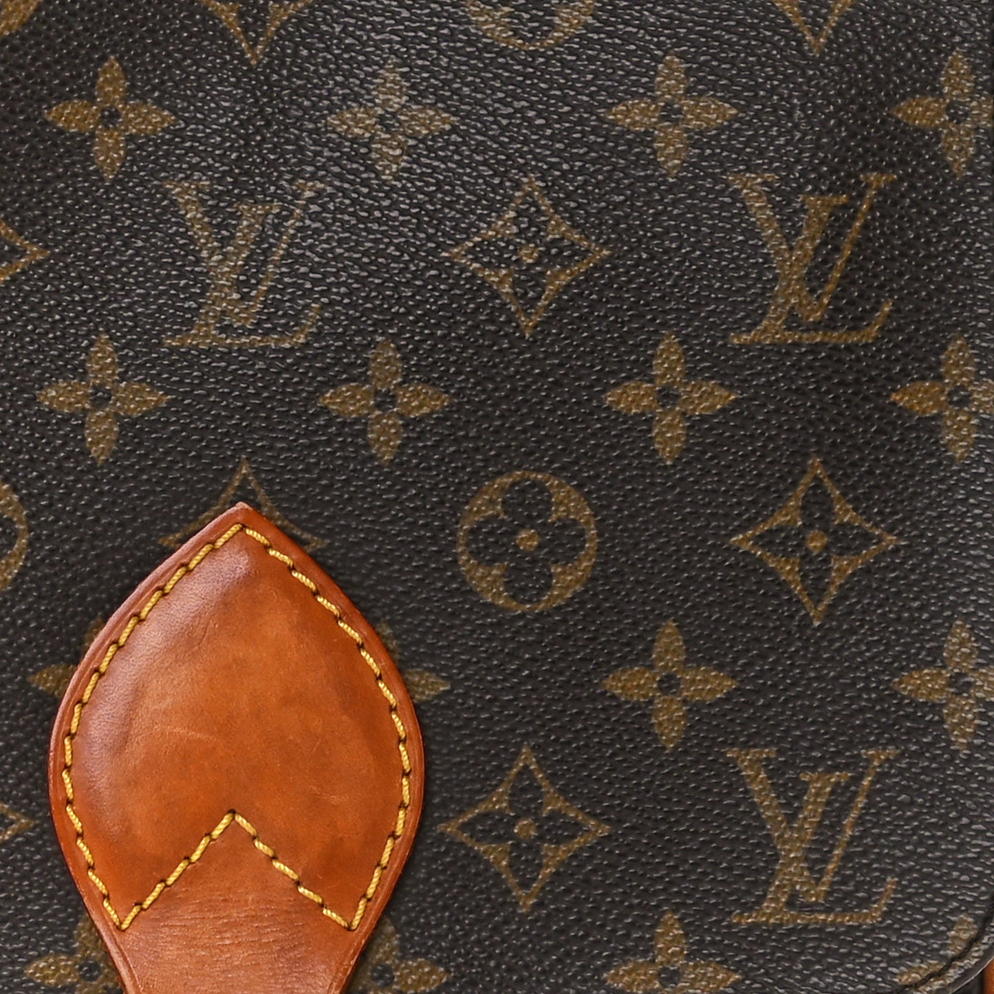 Monogram Cartouchiere 22