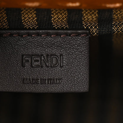 Fendi Vitello King Plexiglass Logo Embossed Mini Fendi Sunshine Shopper Tote Cuoio 6 of 12
