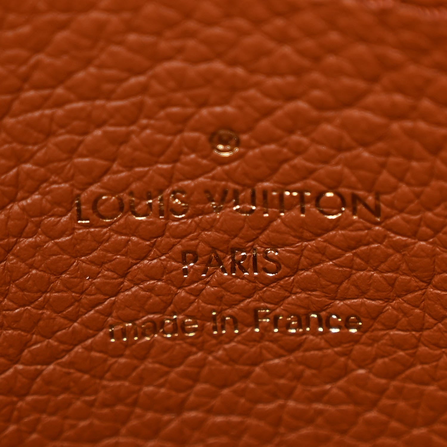 Louis Vuitton Taurillon Capucines GM Cognac 7 of 15