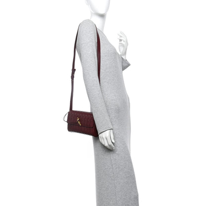 Bottega Veneta Nappa Intrecciato Mini Andiamo Crossbody Bag Barolo 2 of 10