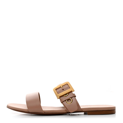 Christian Dior Calfskin D-Dior Slide Sandals 39 Rose De Vents 1 of 9