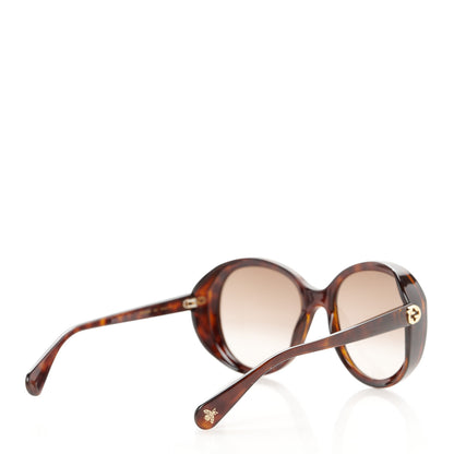 Gucci Acetate GG Sunglasses GG0368S Havana 4 of 8