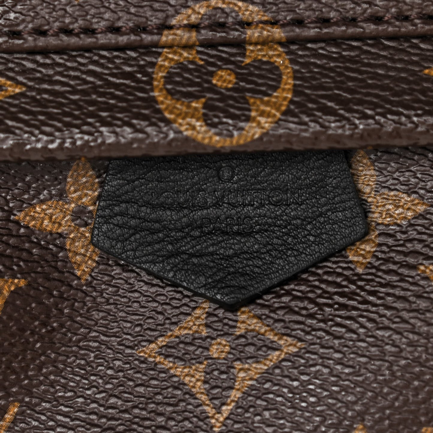 Monogram Palm Springs Backpack Mini