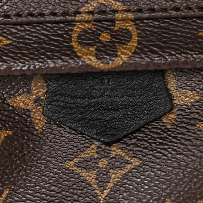 Louis Vuitton Monogram Palm Springs Backpack Mini 7 of 12