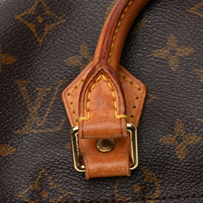 Louis Vuitton Monogram Speedy 25 14 of 14