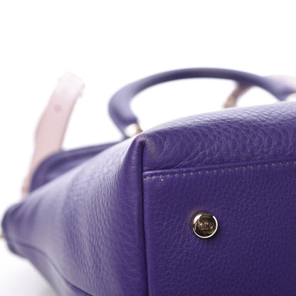 Christian Dior Calfskin Granville Tote Purple 12 of 13