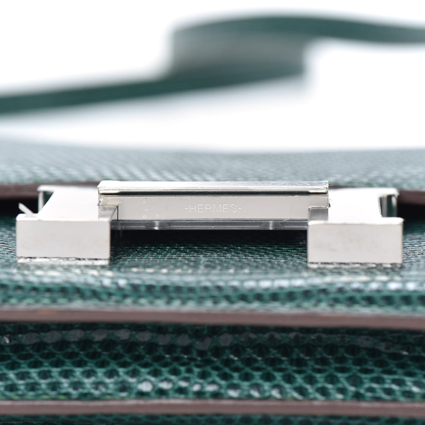 Lizard Constance 18 Malachite