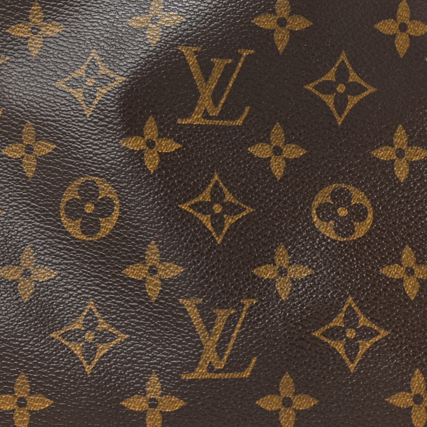 LOUIS VUITTON Monogram Carryall