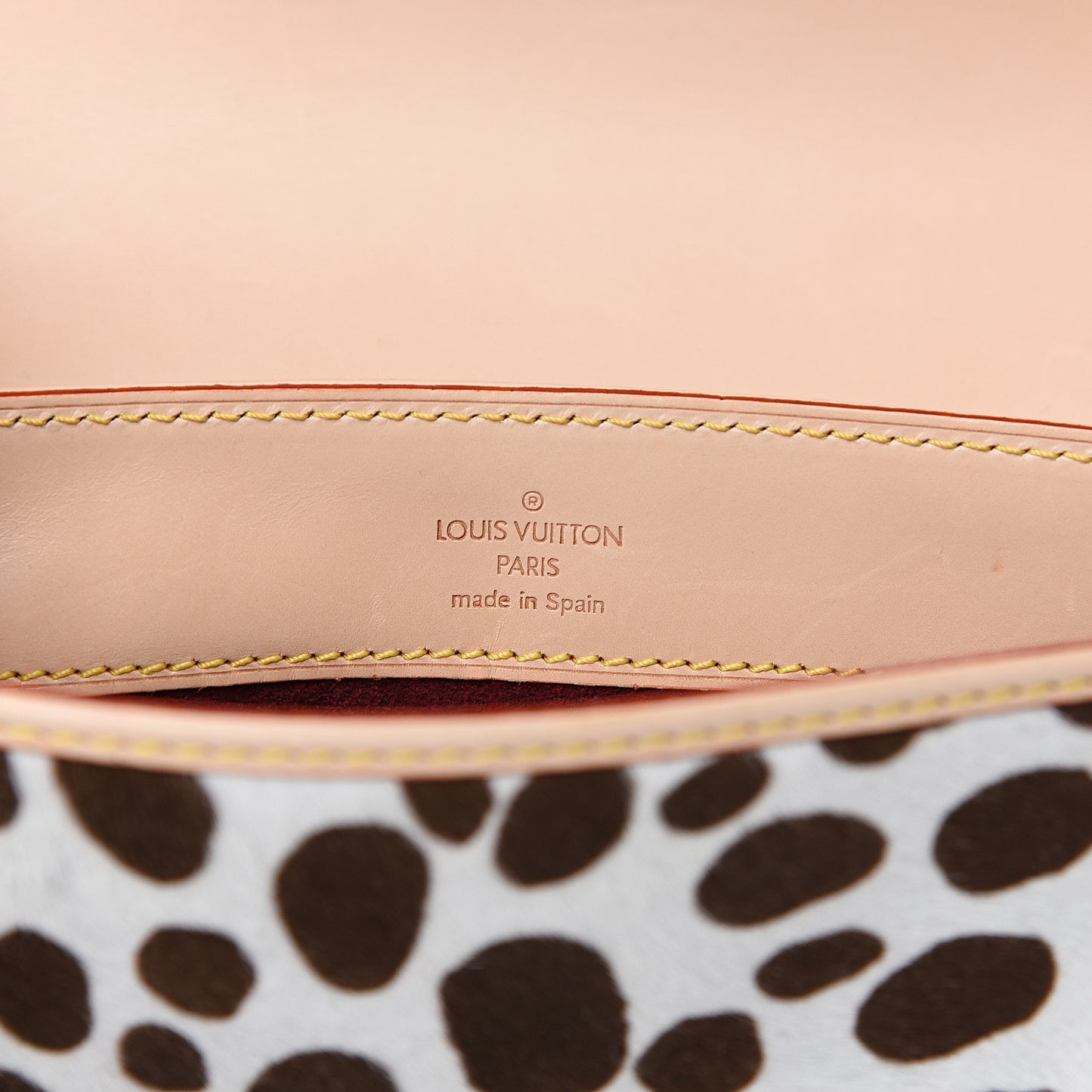 Monogram Multicolor Dalmatian Sac Rabat