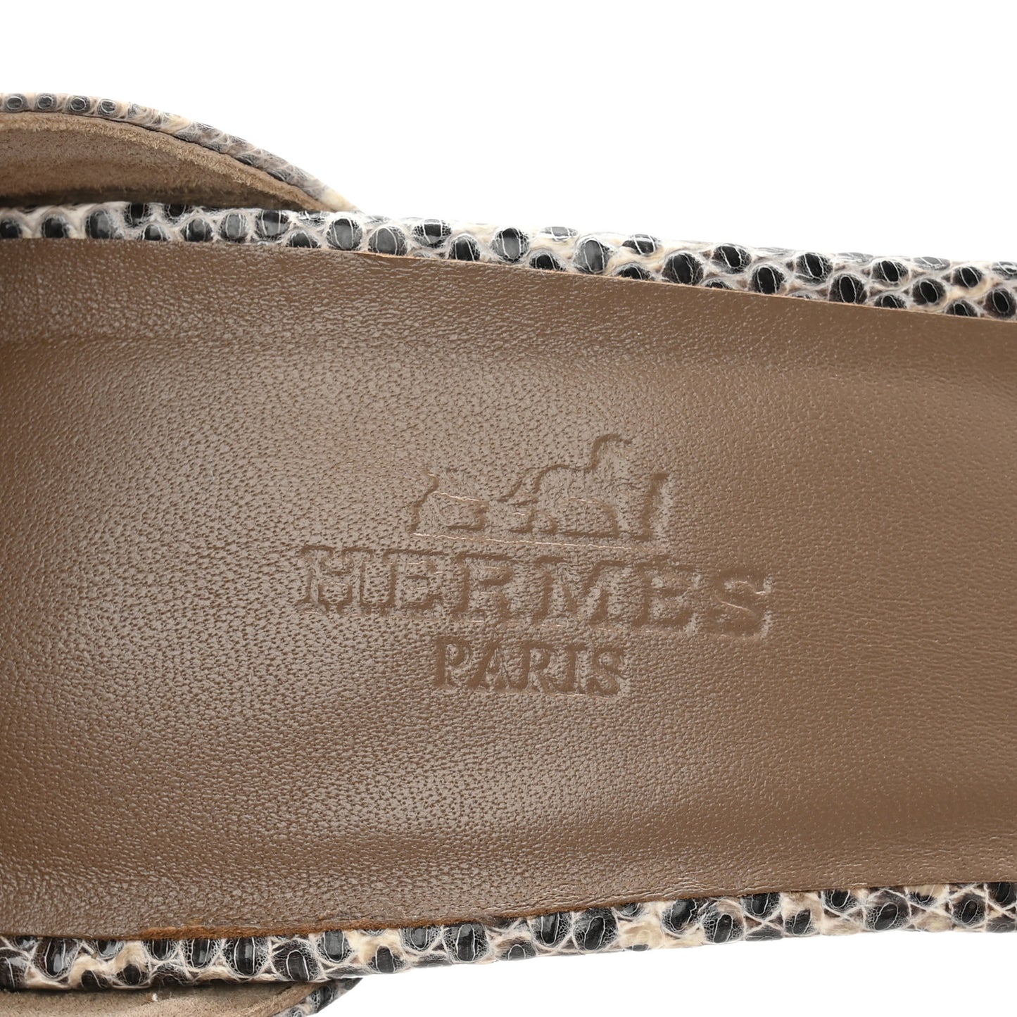Lizard Premiere 70 Sandals 36 Ombre