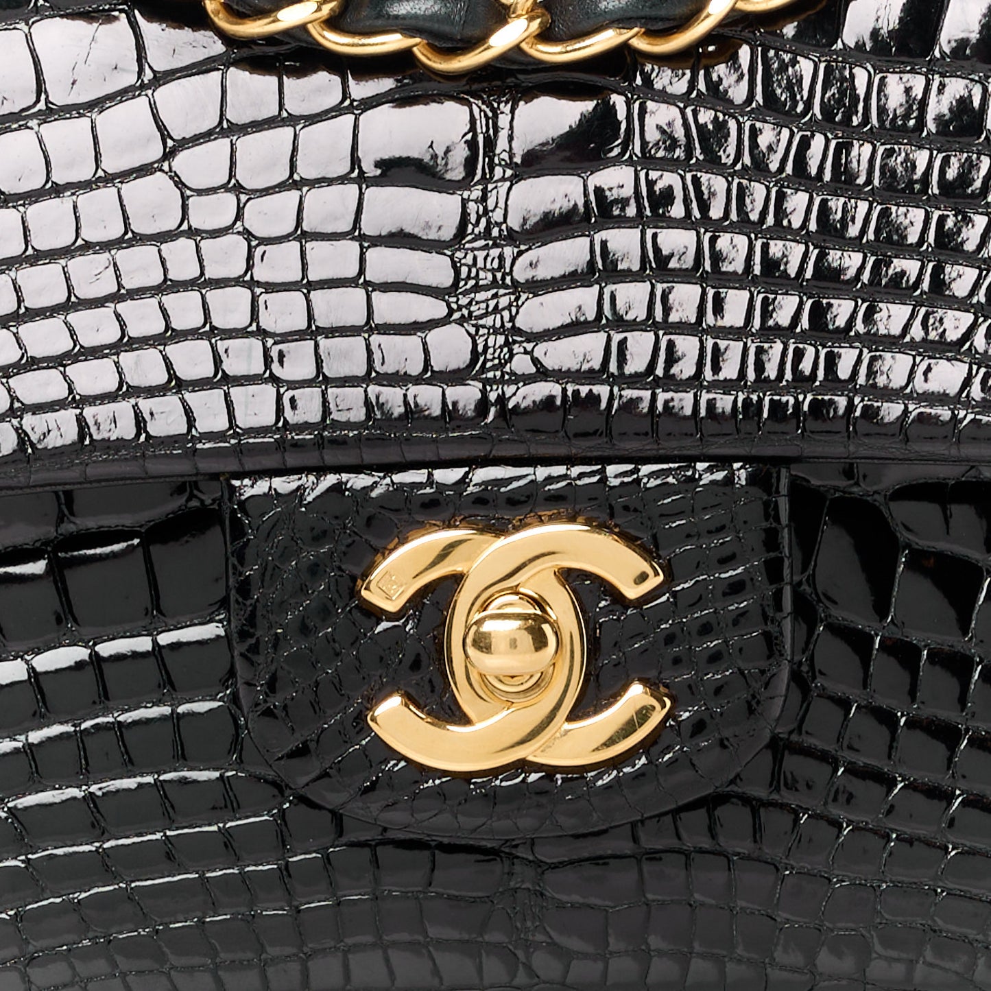 Alligator Small Double Flap Black