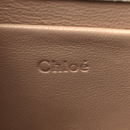 Chloe Calfskin Small Nile Bracelet Minaudiere Bag Off White 6 of 7