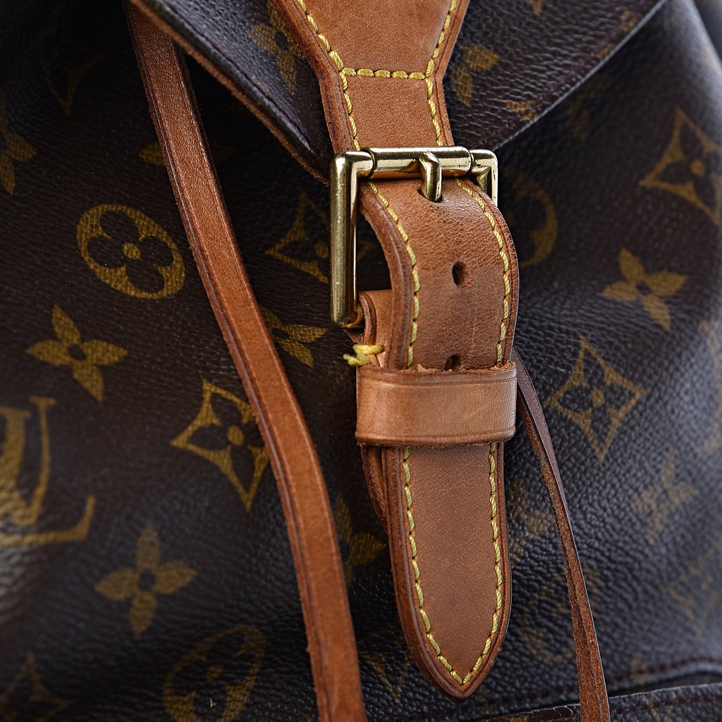 Monogram Montsouris GM Backpack