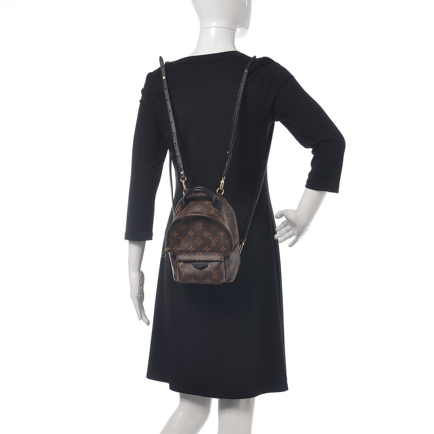 Monogram Palm Springs Backpack Mini