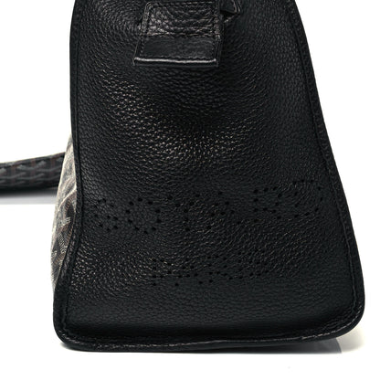 Goyard Goyardine Sac Hardy Pet Carrier PM Black 7 of 9
