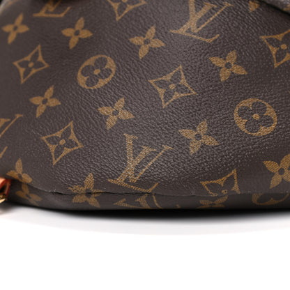 Louis Vuitton Monogram Bumbag 14 of 17