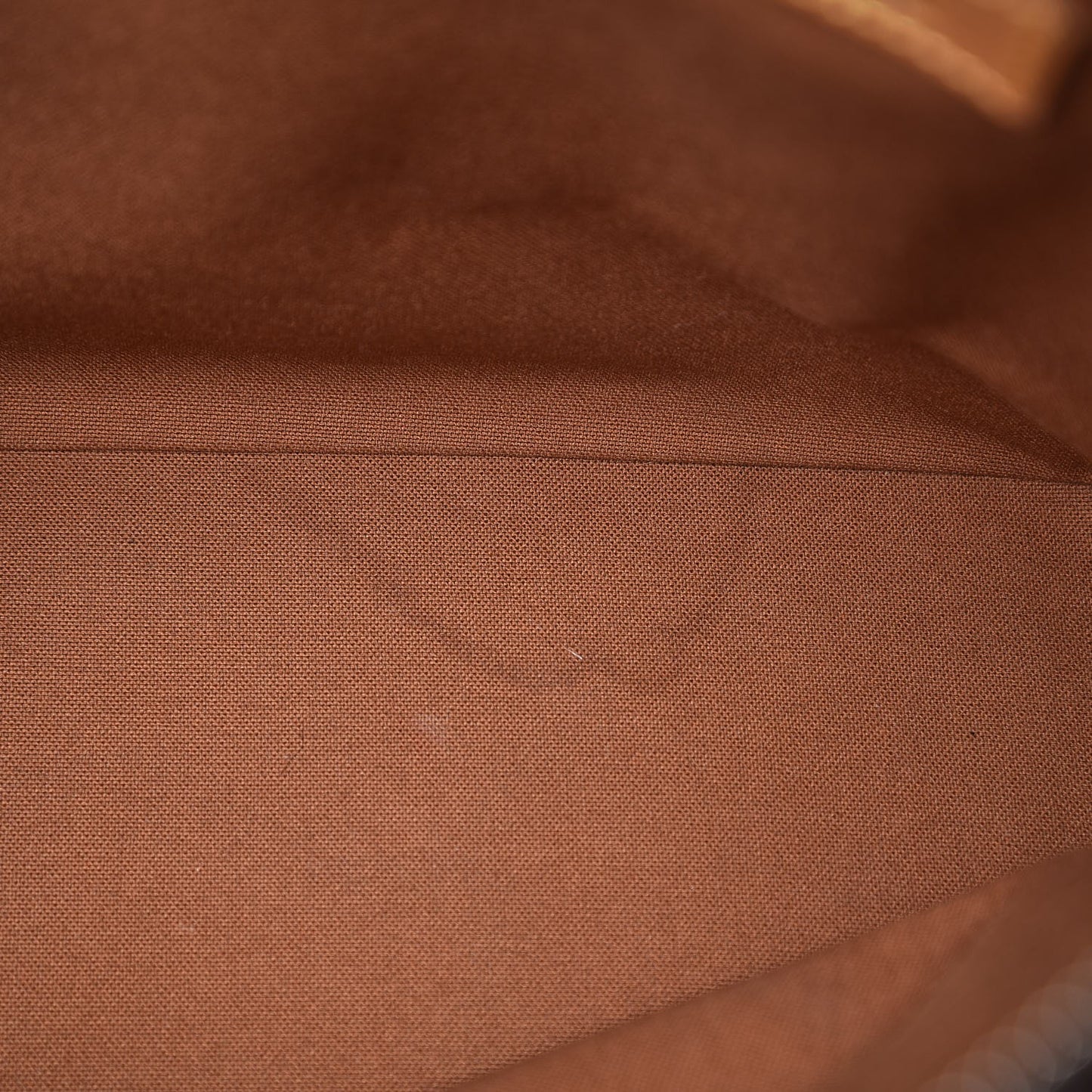 Monogram Cabas Mezzo