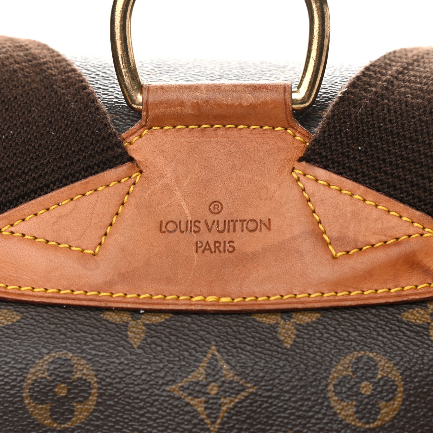 Monogram Montsouris GM Backpack