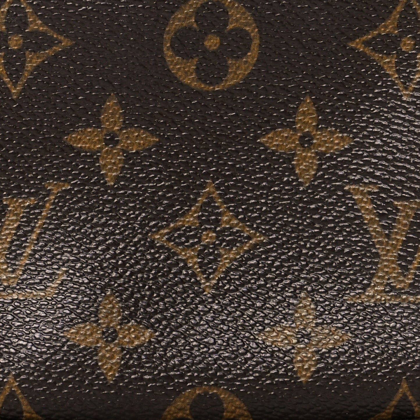 Monogram Mini Pochette Accessories