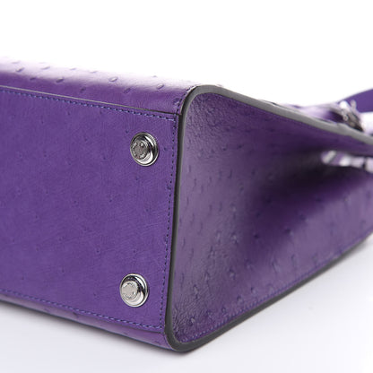 Louis Vuitton Ostrich City Steamer PM Amethyst 8 of 9