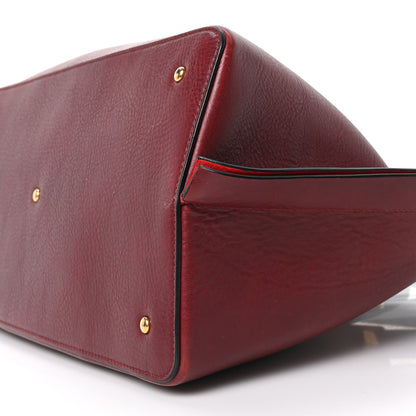 Valentino Garavani Grainy Calfskin Medium VLogo Escape Shopper Rubin 10 of 10