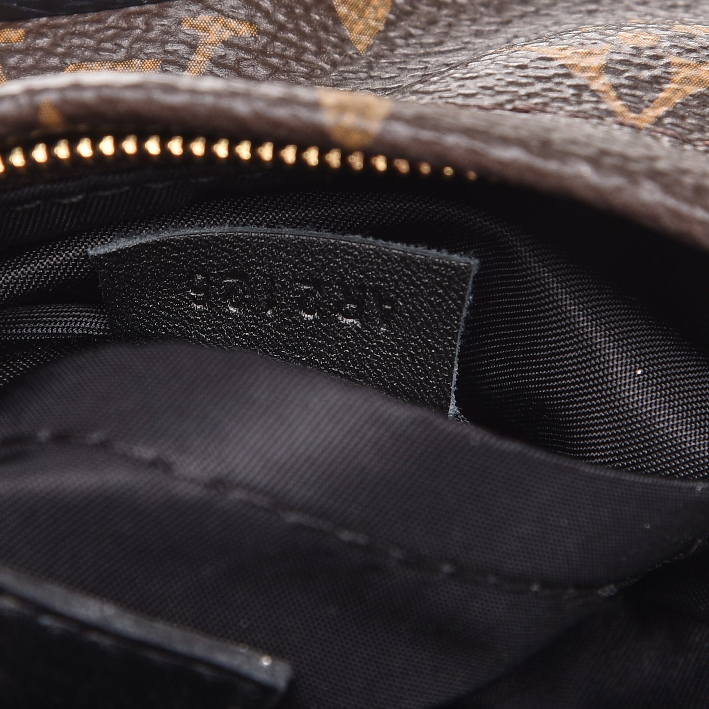 Monogram Palm Springs Backpack Mini