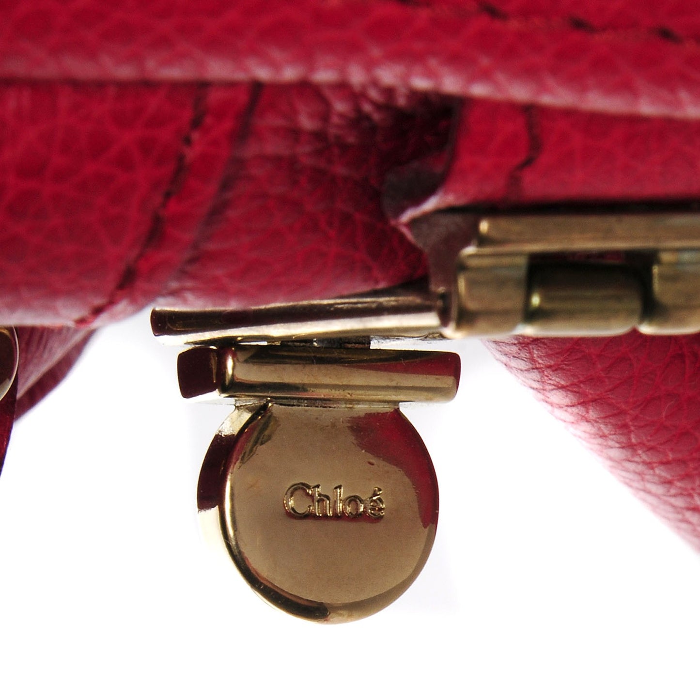 Calfskin Medium Paraty Holly Berry