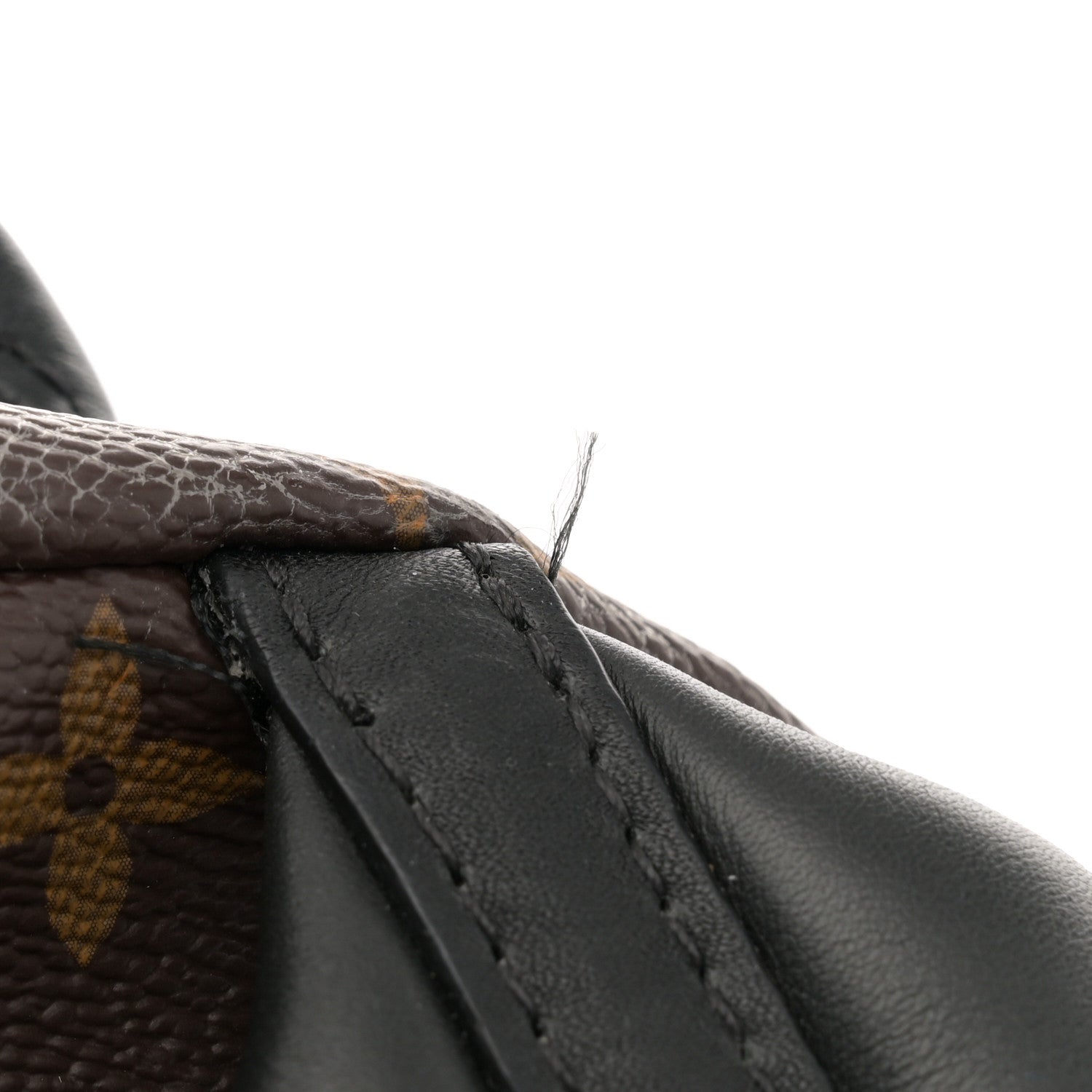 Louis Vuitton Monogram Palm Springs Backpack PM 12 of 15