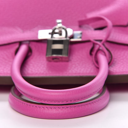 Hermes Togo Birkin 25 Magnolia 28 of 37