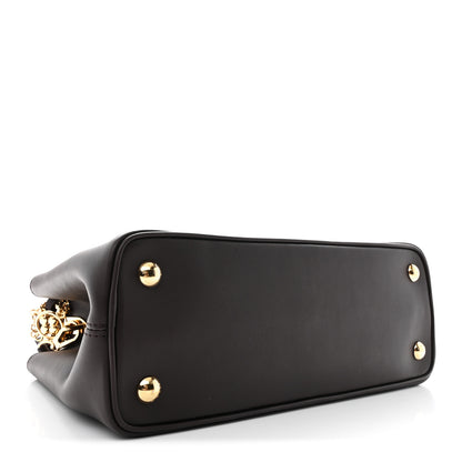 Louis Vuitton Smooth Calfskin Capucines MM Souple Chocolate 4 of 11