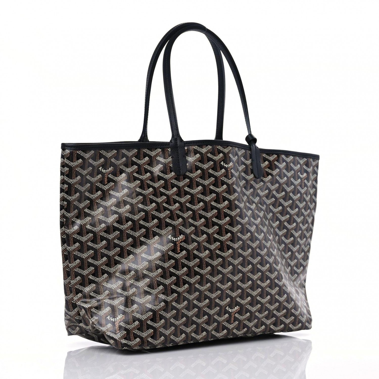 Goyard Goyardine Saint Louis PM Black 4 of 9