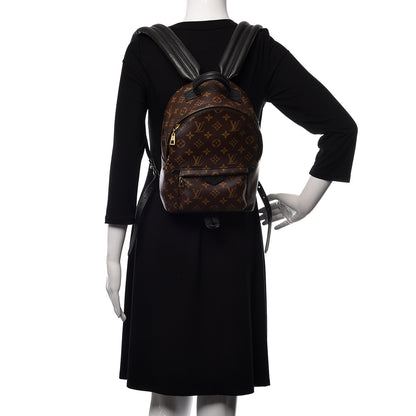 Louis Vuitton Monogram Palm Springs Backpack PM 2 of 12