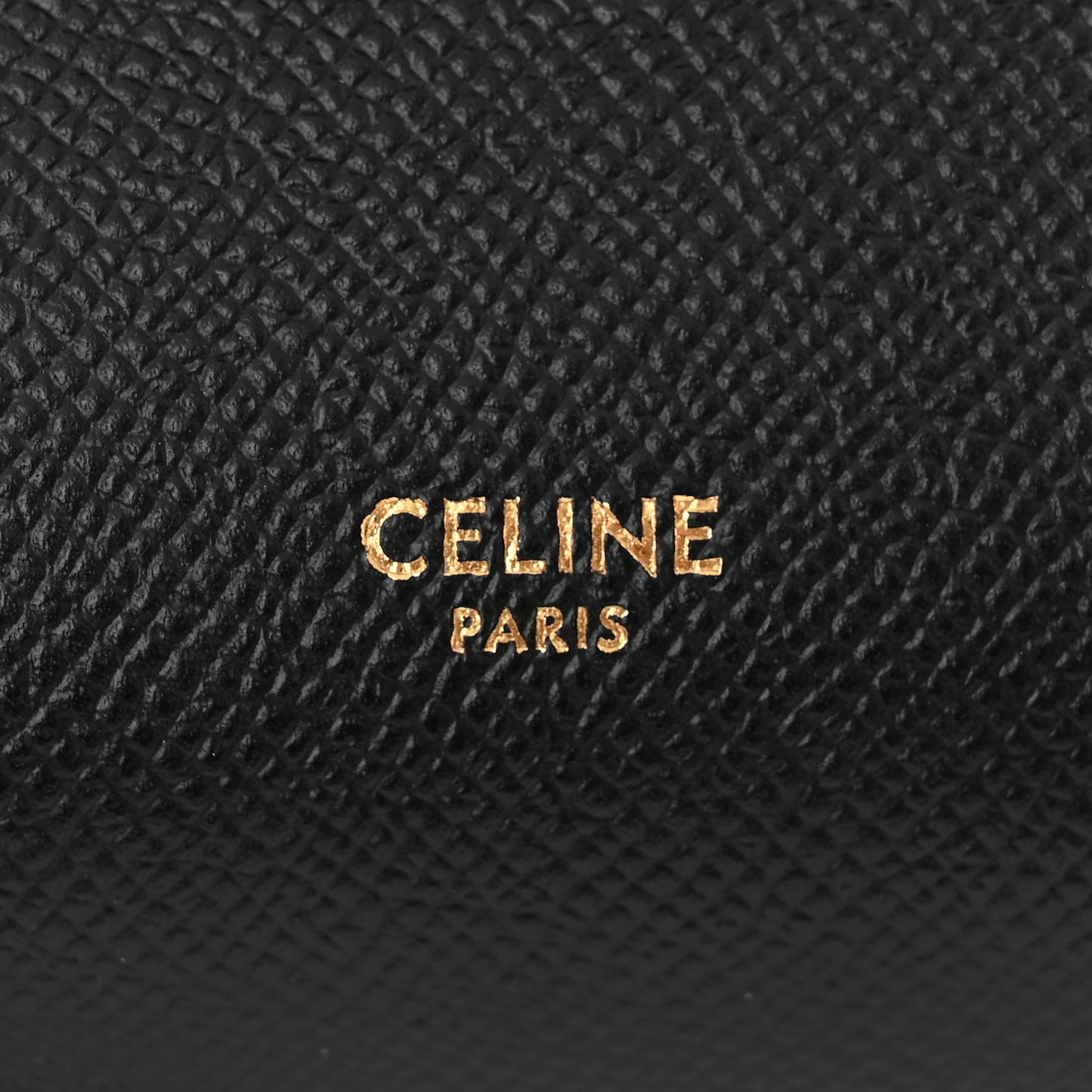 Grained Calfskin Nano Belt Bag Black